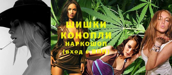 сатива Алзамай