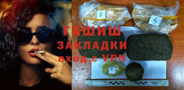 хмурый Аркадак