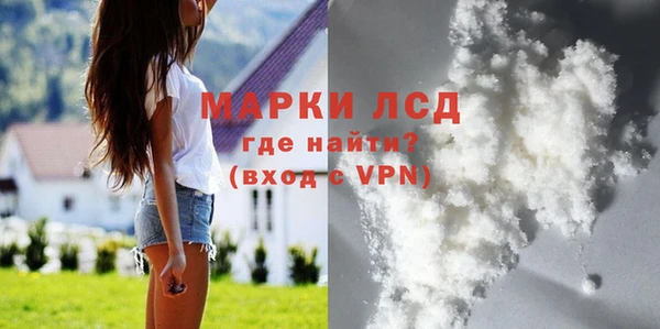 сатива Алзамай