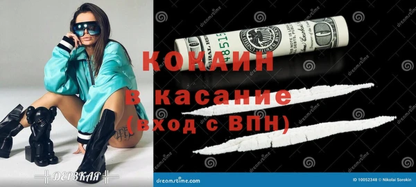 сатива Алзамай